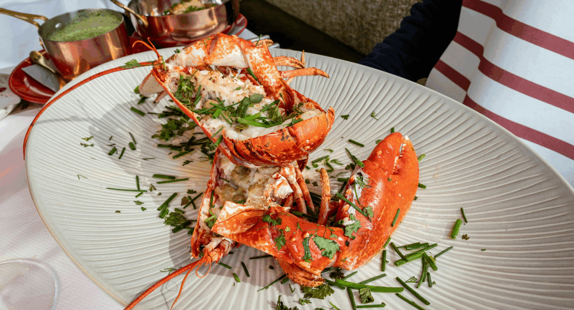 Perfect Lunch Restaurant in Toronto - BLU Ristorante