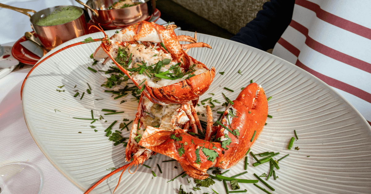 Perfect Lunch Restaurant in Toronto - BLU Ristorante